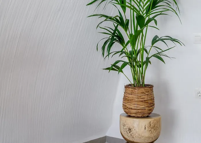 Esperanza Boathouses *